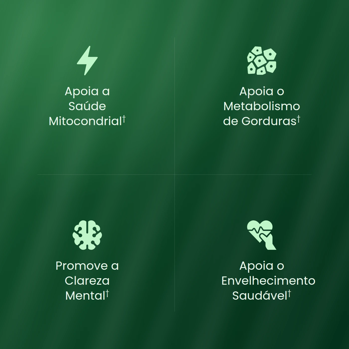 Quatro benefícios: saúde mitocondrial, metabolismo de gorduras, clareza mental e envelhecimento saudável